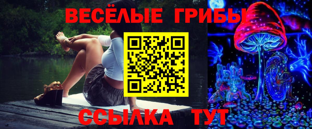 Псилоцибиновые грибы мицелий Выкса