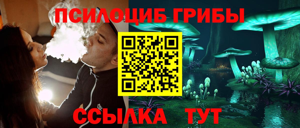 дарнет шоп  Вход с VPN  Выкса  Галлюциногенные грибы Psilocybe 